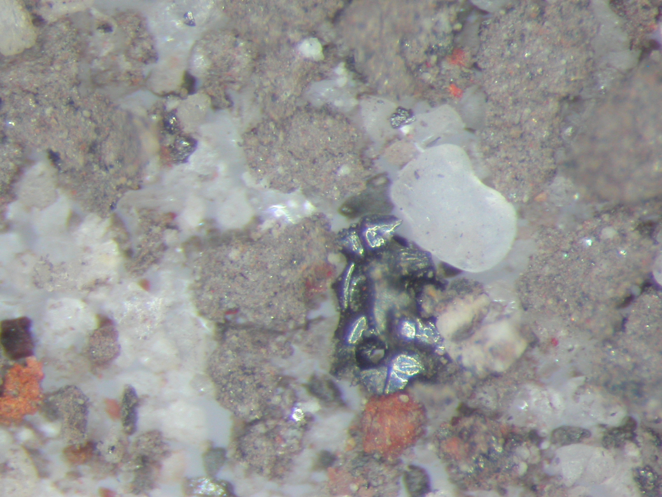 Macintosh HD:Users:christian:Desktop:Bino X25a copie.JPG