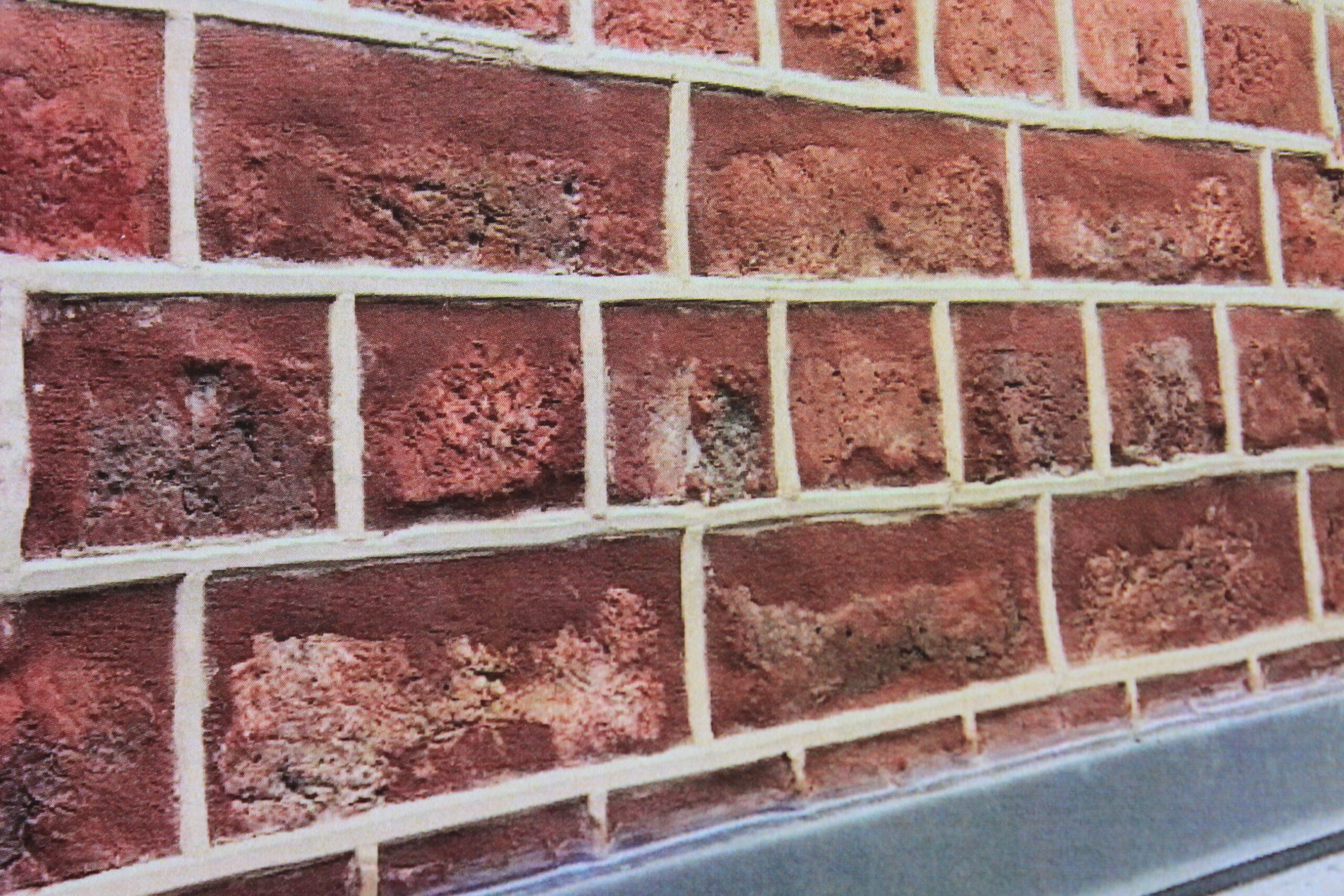 Macintosh HD:Users:christian:Desktop:IMG_1442 copie.JPG