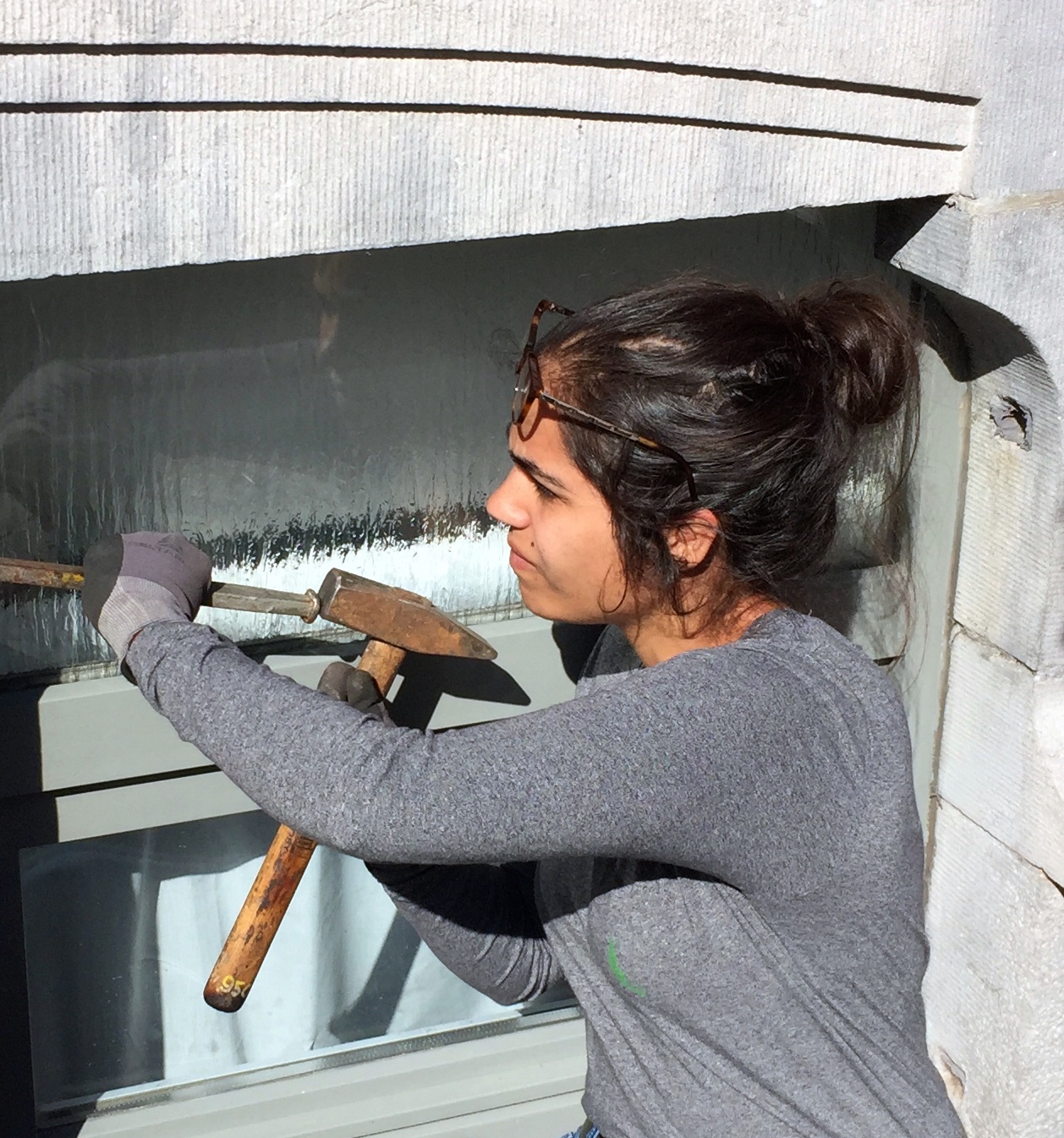 Macintosh HD:Users:christian:Desktop:IMG_5812.jpg